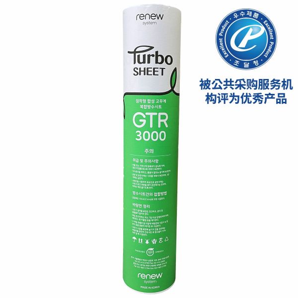 涡轮座椅 GTR 3000